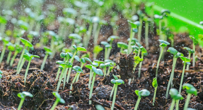 土地抵押貸款怎麼辦理？教你3招取得0.8%超低土地抵押貸款利率